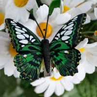 Миниатюра: Бабочки для декора и флористики,на прищепке,пластик,черные,микс, 5см и 8см