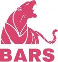 Bars