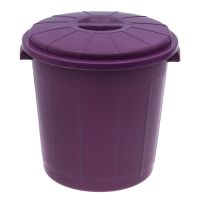 Миниатюра: Бак 50л с крышкой КОЛОР