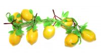 Миниатюра: Бутафория Лимоны на ветке