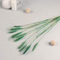 Миниатюра: Декор сухоцвет Пшеница (набор 10 шт) 60 см, зеленый