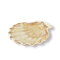 Миниатюра: Блюдо13*12 см, 50мл,керамика Frutti di Mare P.L.