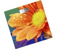 Миниатюра: Весы напольн эл. 180кг 26*26см Гербера CENTEK
