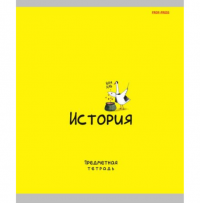 Миниатюра: Тетрадь предм. 48л. Проф-Пресс Mini Friends-История 48-2510 тисн.,лён (клетка)